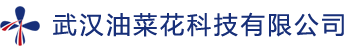 武漢紫信科技有限責任公司